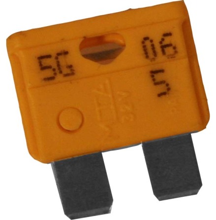 50 x 20 Amp Blad skring