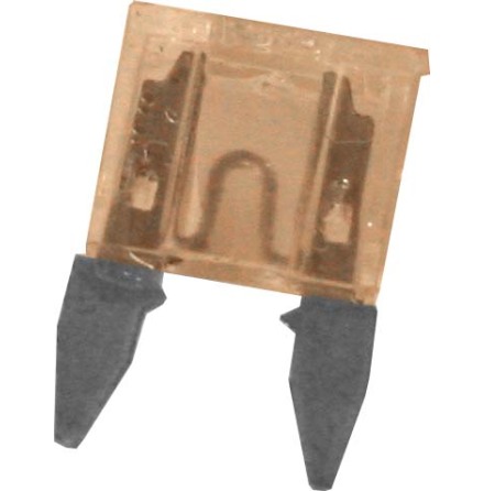 10 x 25 Amp Mini Blad skring