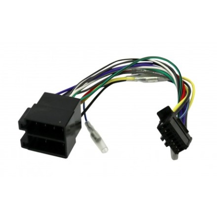 CT21PN07 erstter // Pioneer 2011 ISO (skring p sidan)