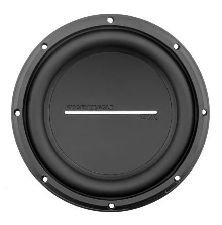 Phoenix Gold GX 10" 2x2 Ohm
